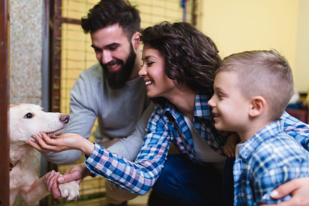 Winter Family Activities Northwest NC Families visit animals in the shelter