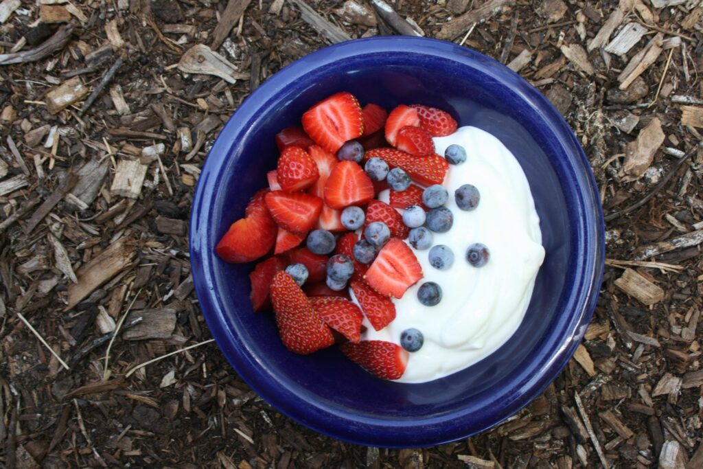 healthy snack ideas for picky eaters yogurt