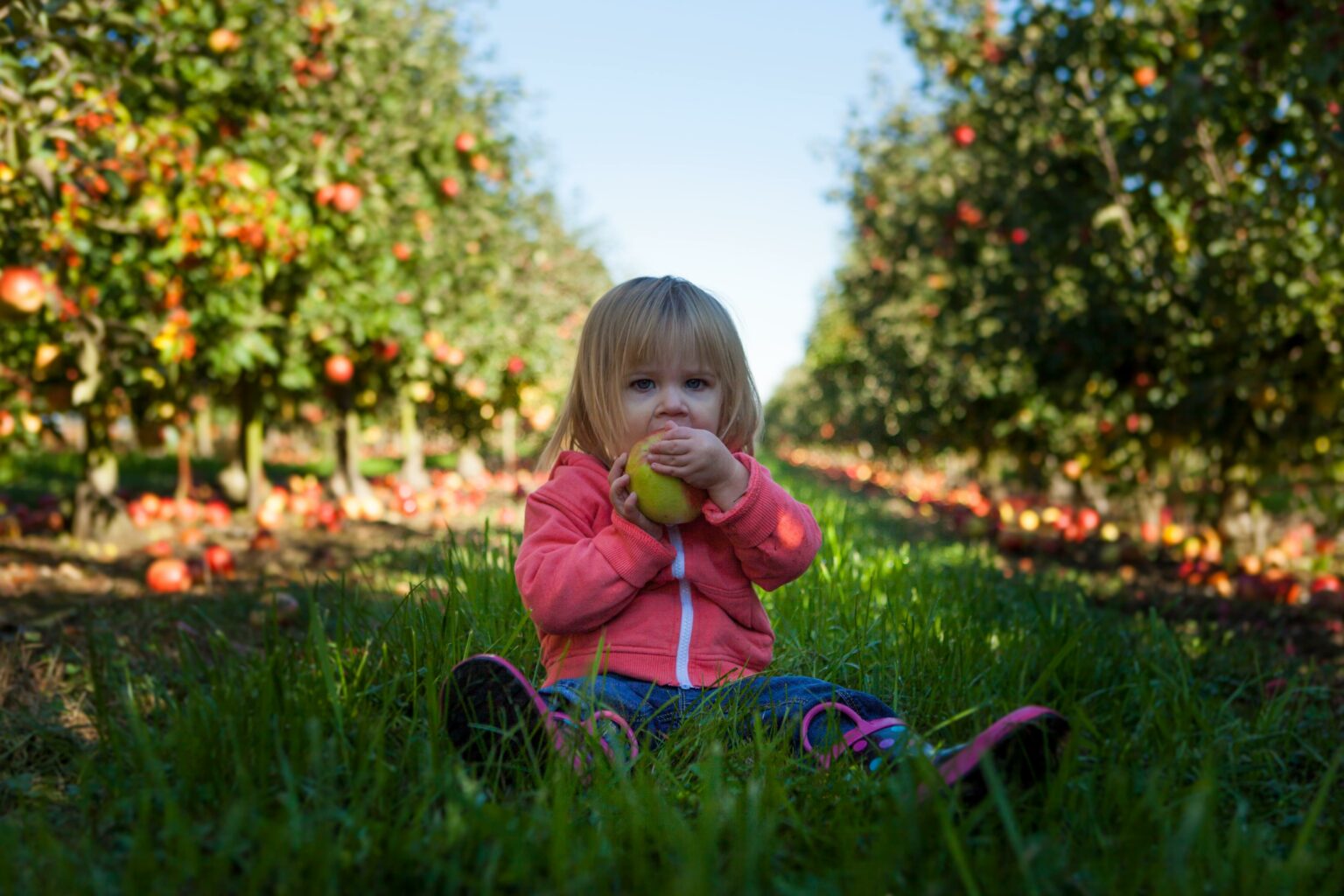 healthy snack ideas for picky eaters